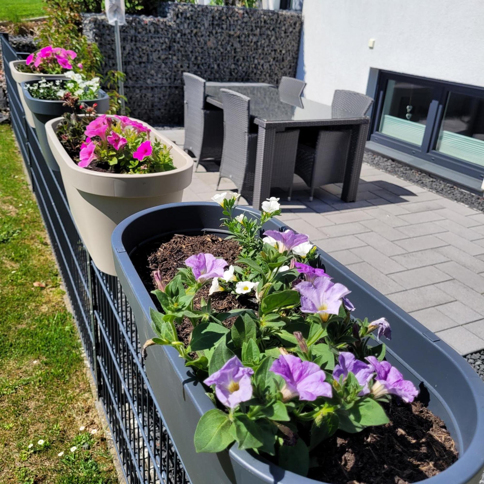 Eifelherz Mit Sonnenterrasse Nideggen Bagian luar foto